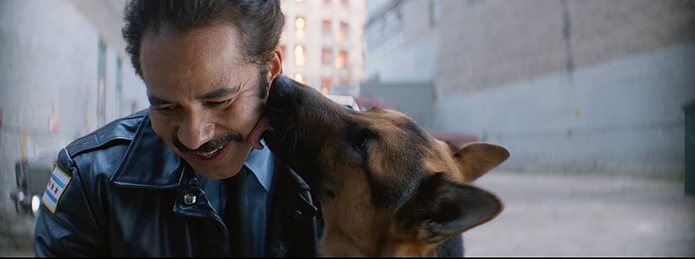 (未使用･未開封品)　僕のワンダフル・ライフ [Blu-ray] bt0tq1u Amazon.co.jp: 僕のワンダフル・ライフ [DVD] : ジョシュ